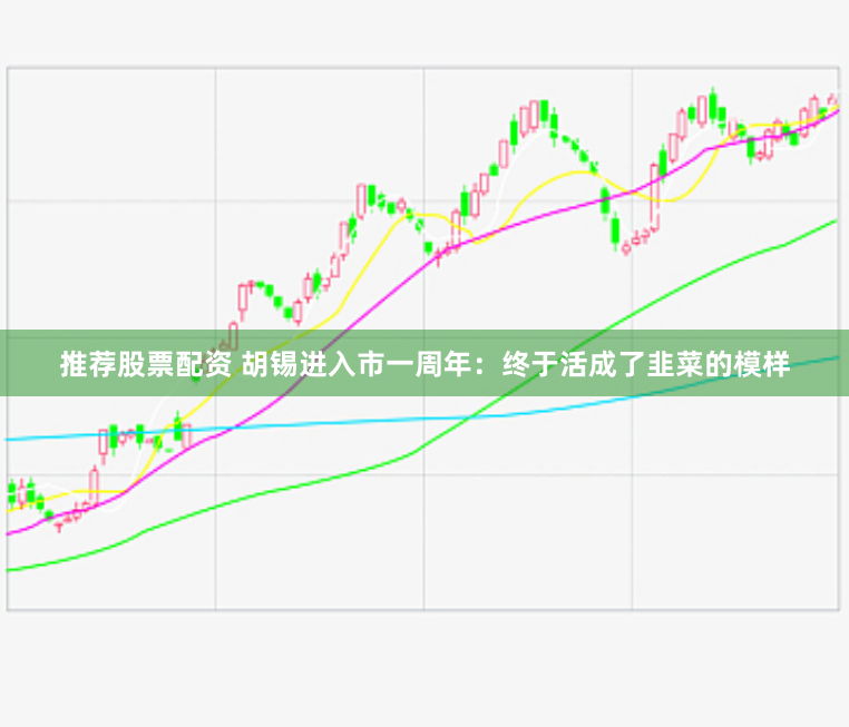 推荐股票配资 胡锡进入市一周年：终于活成了韭菜的模样