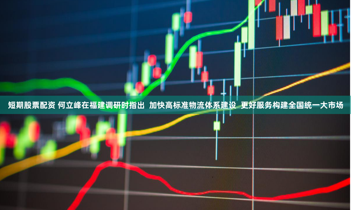 短期股票配资 何立峰在福建调研时指出  加快高标准物流体系建设  更好服务构建全国统一大市场